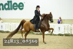 24R13_08569 thumbnail