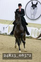 24R13_08572 thumbnail