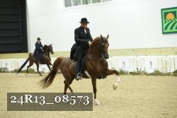 24R13_08573 thumbnail