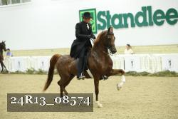 24R13_08574 thumbnail