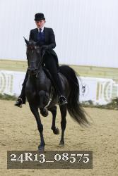 24R13_08575 thumbnail
