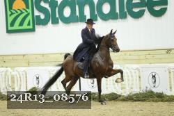 24R13_08576 thumbnail