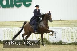 24R13_08577 thumbnail