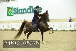 24R13_08578 thumbnail
