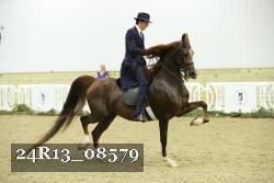 24R13_08579 thumbnail