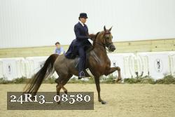 24R13_08580 thumbnail