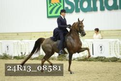 24R13_08581 thumbnail