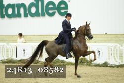 24R13_08582 thumbnail