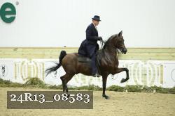 24R13_08583 thumbnail
