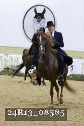 24R13_08585 thumbnail