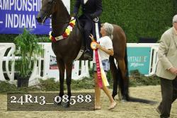 24R13_08588 thumbnail
