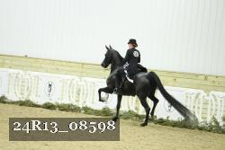 24R13_08598 thumbnail