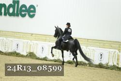 24R13_08599 thumbnail