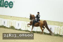 24R13_08600 thumbnail