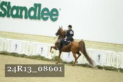 24R13_08601 thumbnail