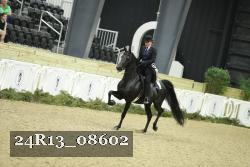 24R13_08602 thumbnail