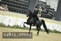 24R13_08603 thumbnail