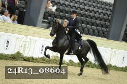 24R13_08604 thumbnail
