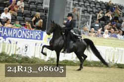 24R13_08605 thumbnail