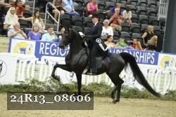 24R13_08606 thumbnail