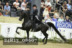 24R13_08607 thumbnail
