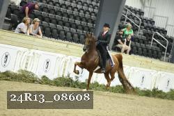 24R13_08608 thumbnail