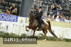 24R13_08610 thumbnail