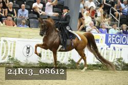24R13_08612 thumbnail