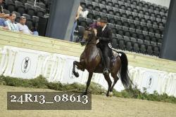 24R13_08613 thumbnail