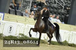 24R13_08614 thumbnail