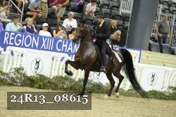 24R13_08615 thumbnail