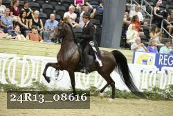 24R13_08616 thumbnail