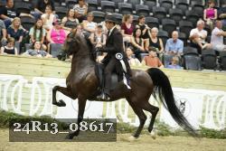 24R13_08617 thumbnail