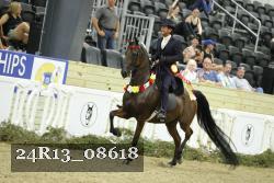 24R13_08618 thumbnail