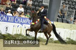 24R13_08619 thumbnail