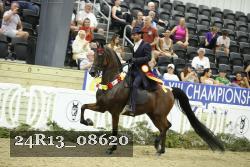 24R13_08620 thumbnail