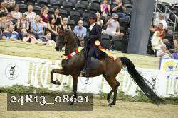 24R13_08621 thumbnail