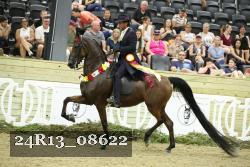 24R13_08622 thumbnail