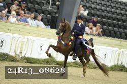 24R13_08628 thumbnail