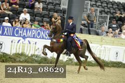 24R13_08629 thumbnail