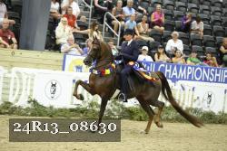 24R13_08630 thumbnail