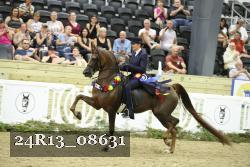 24R13_08631 thumbnail
