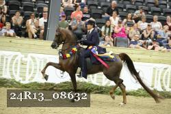 24R13_08632 thumbnail