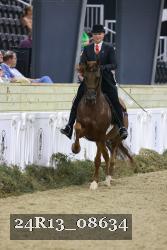 24R13_08634 thumbnail