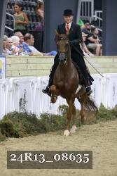 24R13_08635 thumbnail