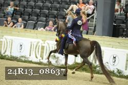 24R13_08637 thumbnail