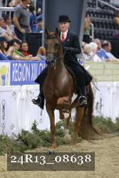 24R13_08638 thumbnail