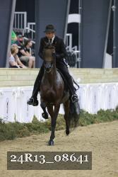 24R13_08641 thumbnail