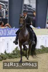 24R13_08643 thumbnail