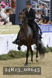 24R13_08645 thumbnail